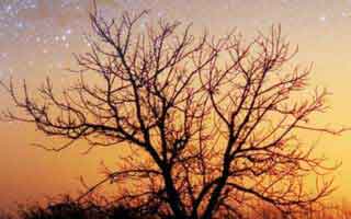 详细阅读:这回终于有人讲透了:突然刷到91网址导航相关线索越扒越多,把节奏彻底带偏 这回终于有人讲透了:突然刷到91网址导航相关线索越扒越多,把节奏彻底带偏