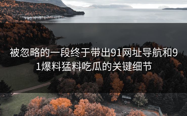 被忽略的一段终于带出91网址导航和91爆料猛料吃瓜的关键细节
