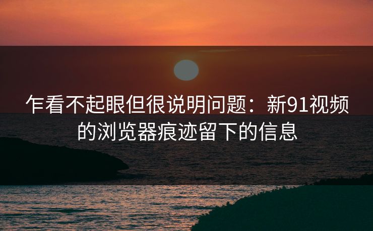 乍看不起眼但很说明问题：新91视频的浏览器痕迹留下的信息