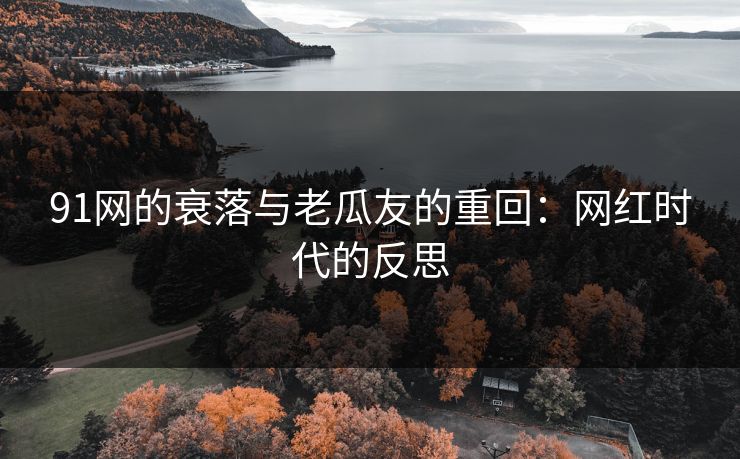 91网的衰落与老瓜友的重回：网红时代的反思