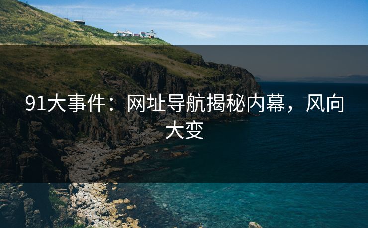 91大事件：网址导航揭秘内幕，风向大变