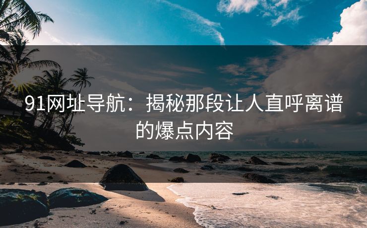 91网址导航:揭秘那段让人直呼离谱的爆点内容